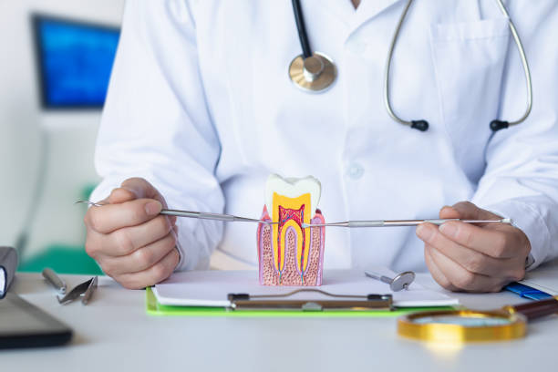 Best Orthodontic Emergency Dentist in Eustace, TX